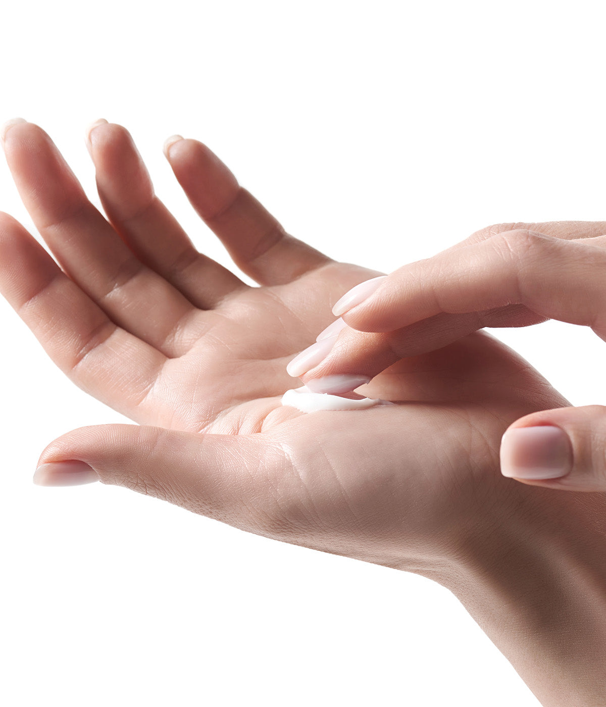 BioPhyto Balancing Cream