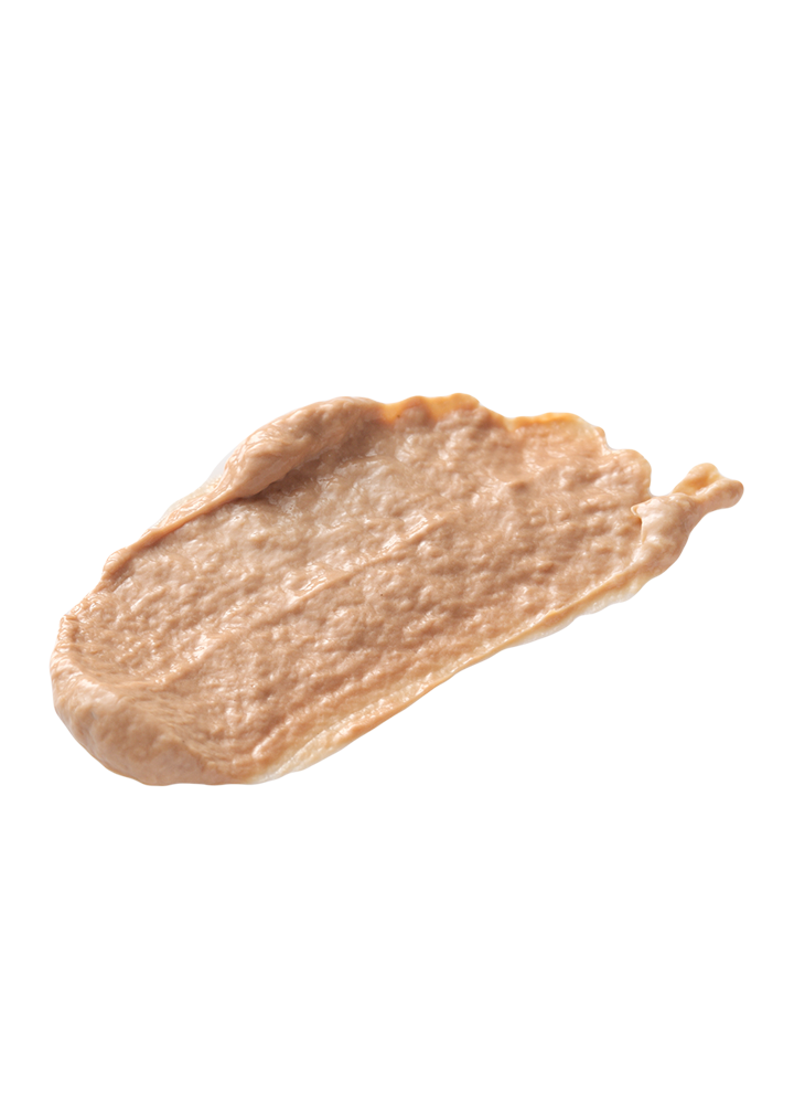 BioPhyto Ultimate Defense Tinted Day Cream