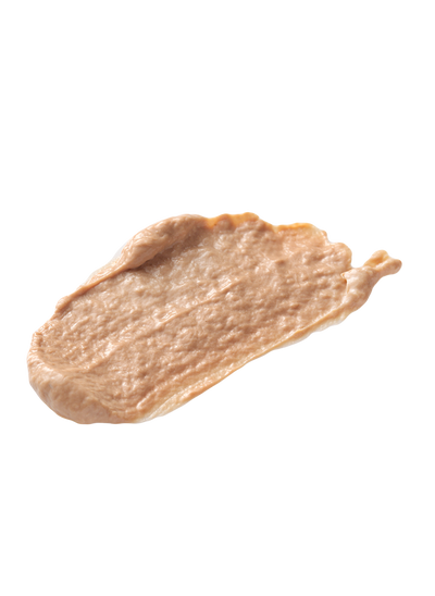 BioPhyto Ultimate Defense Tinted Day Cream