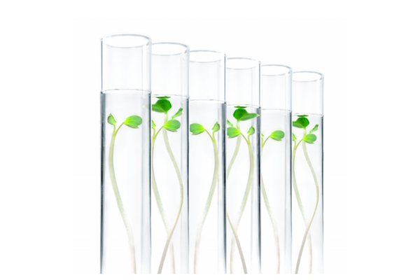 RESPONSABILIDAD ECOLÓGICA